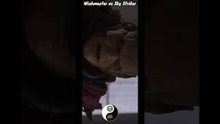Wishmaster vs Sky Striker