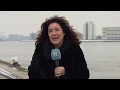 Rijnmond Nieuws - 23 januari 2019