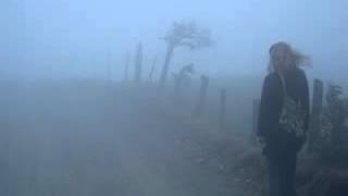 Bob Dylan - Quit Your Low Down Ways (cover by gierzwaluw)