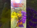 Nude Bath Viral