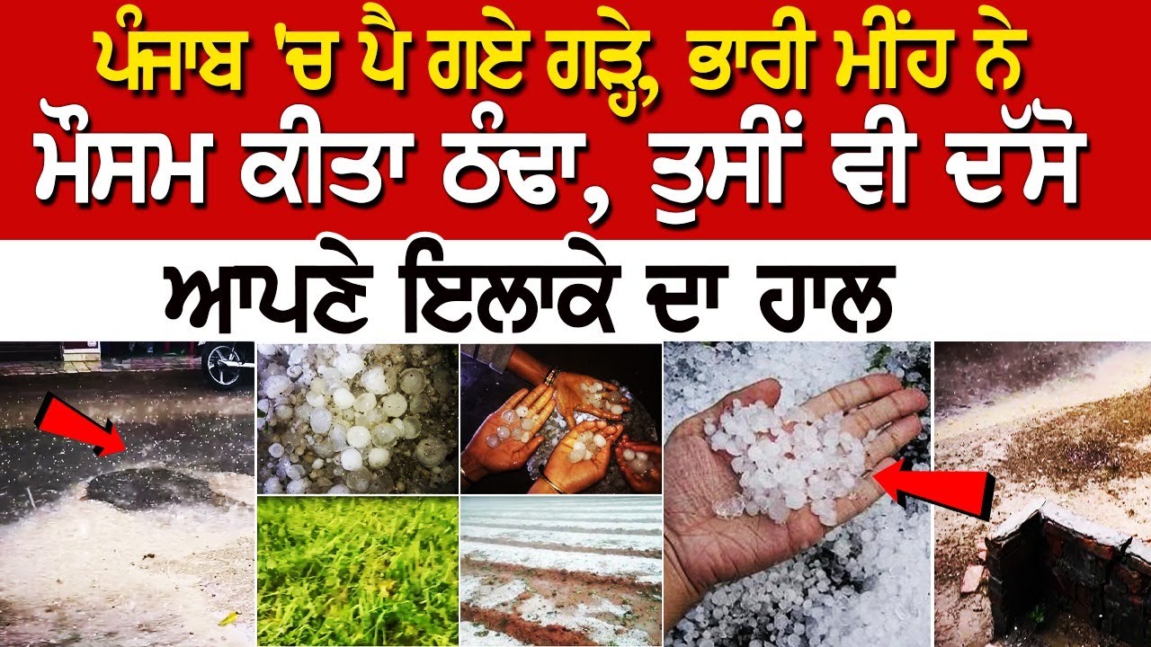 Punjab Weather Update: ਪੈ ਗਏ ਗੜ੍ਹੇ, ਭਾਰੀ ਮੀਂਹ ਨੇ ਮੌਸਮ ਕੀਤਾ ਠੰਢਾ, ਤੁਸੀਂ ਵੀ ਦੱਸੋ ਆਪਣੇ ਇਲਾਕੇ ਦਾ ਹਾਲ | Punjab Weather Update: ਪੈ ਗਏ ਗੜ੍ਹੇ, ਭਾਰੀ ਮੀਂਹ ਨੇ ਮੌਸਮ ਕੀਤਾ ਠੰਢਾ, ਤੁਸੀਂ ਵੀ ਦੱਸੋ ਆਪਣੇ ਇਲਾਕੇ ਦਾ ਹਾਲ |