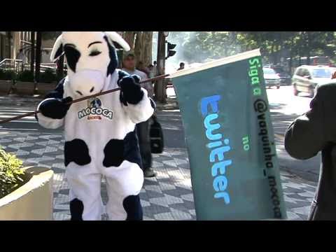 Vaquinha Mococa e suas aventuras.