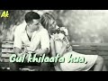 Muskurata Hua Gul Khilata Hun Main Mere Yaar Hindi Ringtone Kishore Kumar Song Old