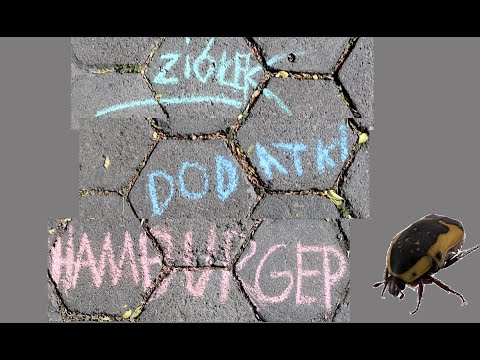 Ziółek - Dodatki (Official Video) (Teledysk) (Prod. King SAiZ)