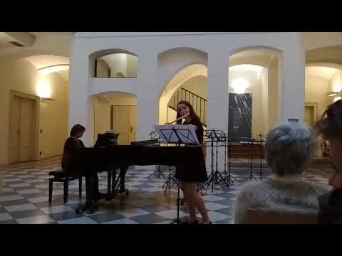J. Haydn - Koncert pro flétnu a orchestr  (České muzeum hudby)