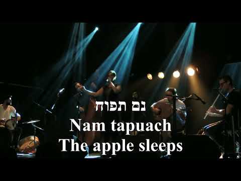 Yesh Li Gan I have a Garden Yamma Ensemble Hebrew+English Lyrics יש לי גן ובאר אנסמבל יאמה כתוביות