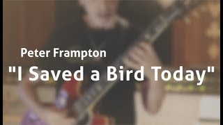Riff Rundown - Peter Frampton &quot;I Saved a Bird Today&quot;