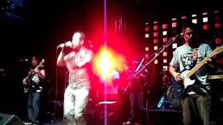 Chancho en piedra - guach perry + empresaurio