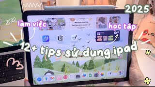 🍎 12+ tips sử dụng iPad để học và làm việc hiệu quả hơn | Habits with Ngọc