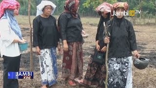 Download lagu Induk Padi Berusia Ratusan Tahun dalam Tradisi Berencam Masyarakat Tabir Merangin mp3