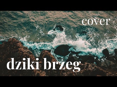Dziki Brzeg - Flirtini & Piotr Zioła (akustycznie by Marcin Kruk)