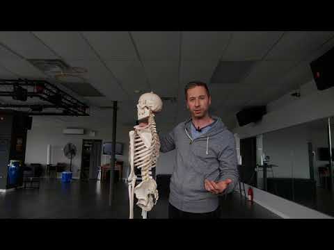 Thoracic Flexion vs Thoracic Spine Flexion