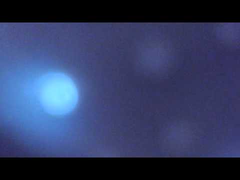 Basselemente - Sonnenliebe