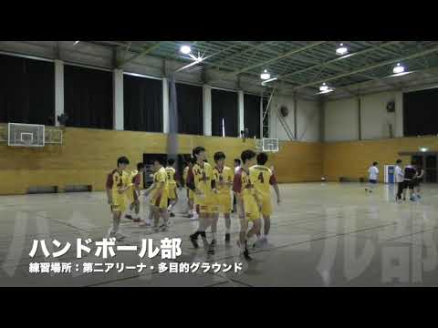 ハンドボール