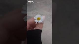 Download lagu Anasetic... mp3