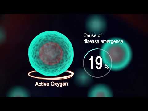 알칼리 이온수 생성기