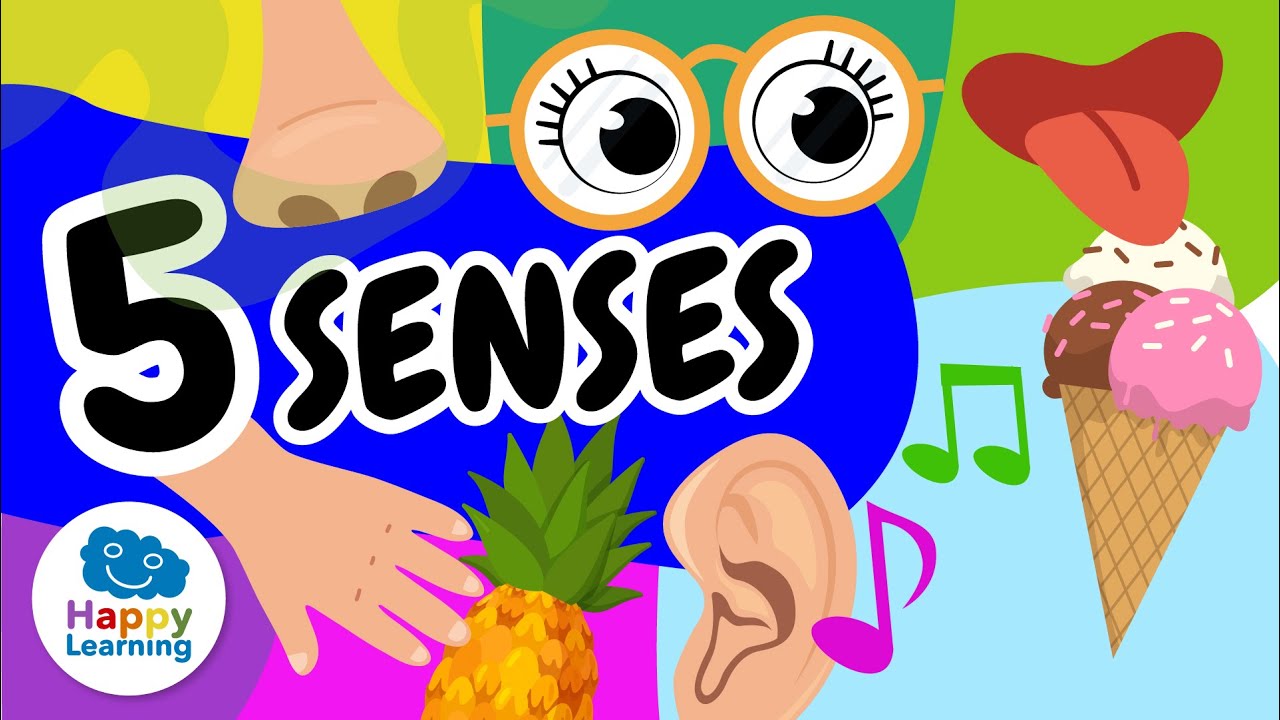 ✋👅 The 5 SENSES | HUMAN BODY | Educational Videos for Children | @HappyLearningEN