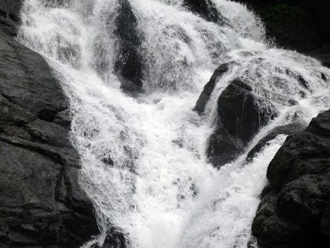 download lagu mp3 mp4 Chinchoti Waterfall Vasai Images, download lagu Chinchoti Waterfall Vasai Images gratis, unduh video klip Chinchoti Waterfall Vasai Images