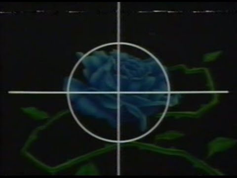 LA HERMANDAD DE LA ROSA