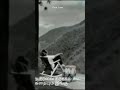 Tamil Old Song Whatsapp Status Aalolam Paadi Asainthadum Katre Song Whatsapp Status