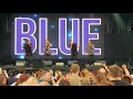 Blue - Too close - Slessor Gardens - 22 June 2018