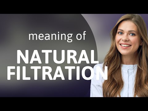 Natural Filtration: The Unseen Forces Purifying Our Planet