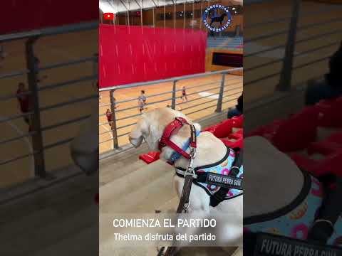 Thelma descubre el balonmano 🤾 (Thelma & Ali Episodio 05) 🦮🦯