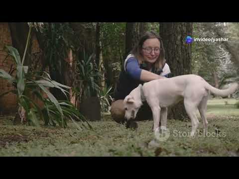 Paw-some Adventures: Doggy Duo's First Day of School!