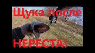Ссылка