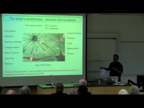 What Physicists Do - November 9, 2015 - Dr. Surya Ganguli