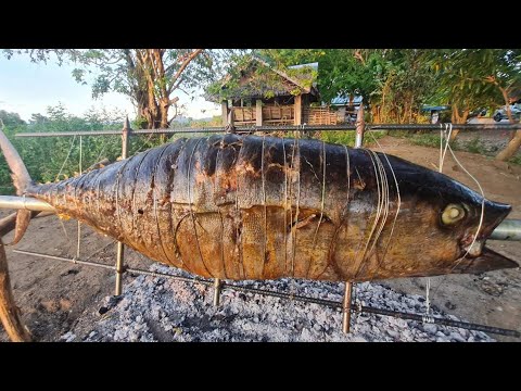 EP819-P2 - 45KG Tuna Lechon