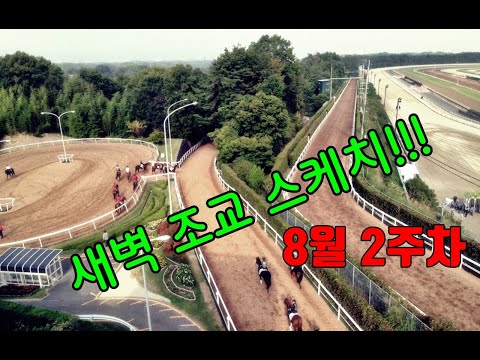 8/4-월요-조교장-조찬훈경마????이번주경마