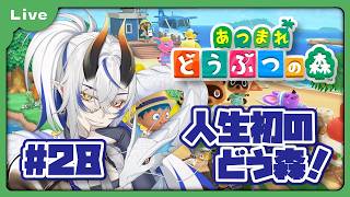 [あつまれどうぶつの森] 人生初のどうぶつの森！？色々教えてもらえると助かります！釣り、虫取りコンプ目指します！！ vol28 [シャヘル]