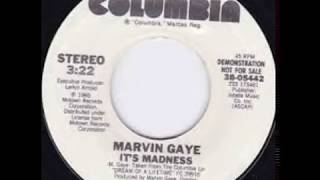 Marvin Gaye - It&#39;s  Madness
