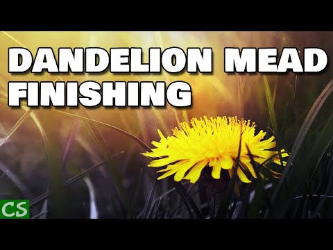 Dandelion Mead Finishing and Bottling