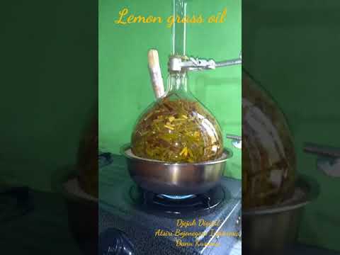054 Lemon grass destilation