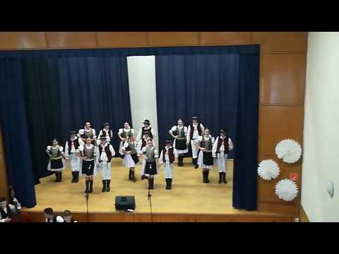 DFS šarišanček-prelecel vtaček