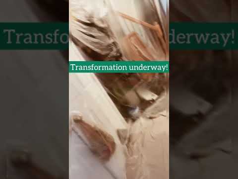 Ride thee wave of the transformation of #DOPEFFECT  #therealshhyy