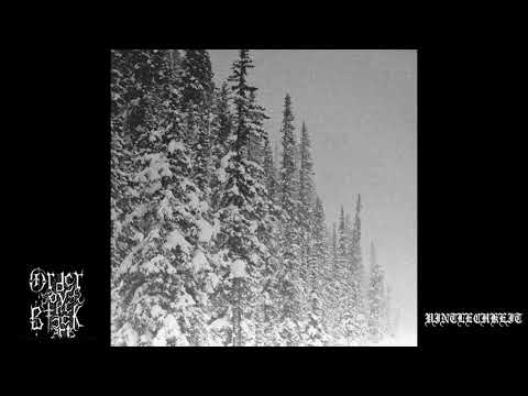 Vintlechkeit - Svartskogen, Svartvinter...(full demo, 2019)