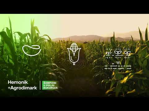 Hemonik + Agrodimark - šampioni u polju kukuruza