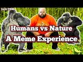 Humans vs Nature - A Meme Experience