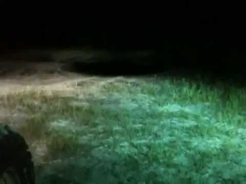 HID vs LED Headlights on 2008 brute force and 2011 RzR S
