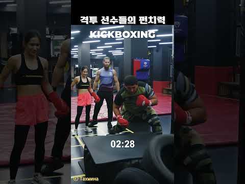 격투 선수들의 펀치력