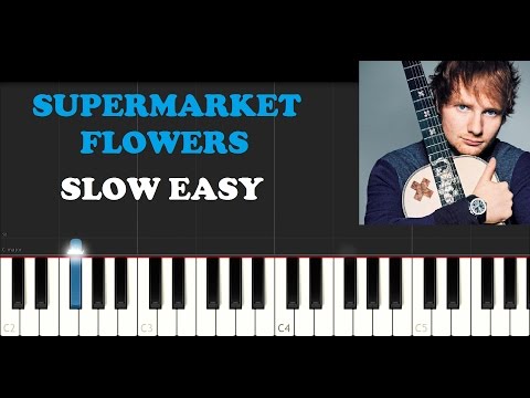 download lagu mp3 mp4 Supermarket Flowers Piano Notes Letters, download mp3 Supermarket Flowers Piano Notes Letters free downloadn, video klip Supermarket Flowers Piano Notes Letters