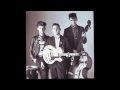 The Meteors - My Daddy Is A Vampire (Peel ...