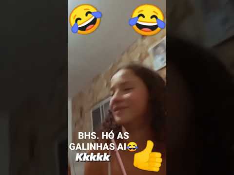 Bhs e nay hó as galinhas ai😂