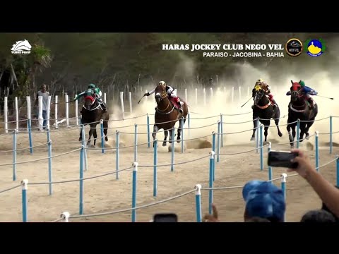 [Corte 🎬 ] 4º PÁREO CLASSIFICATÓRIO - VII Gp Jockey Club Haras Nego Vel 2021