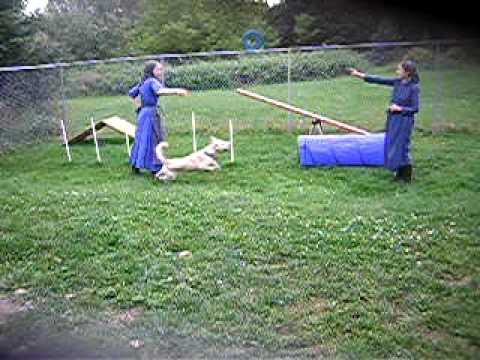 Miss Aliza's Favorite Toy