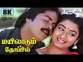 Mayilaadum Thoppil 8K Video Song 5 1 மயிலாடும் தோப்பில் S Janaki S