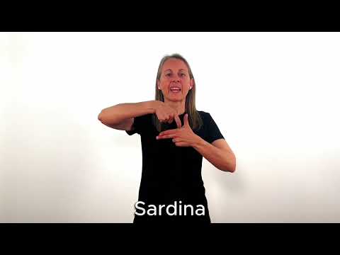 Sardina - LSC